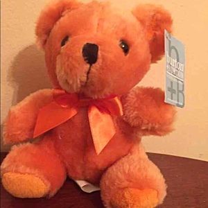 ❤️Colorful Plush Bears (Orange)❤️